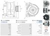 A0703(SEG)_256960.JPG
