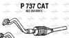 P737CAT.JPG