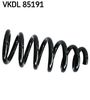 VKDL 85191.JPG