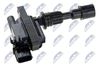 ECZ-MZ-019_1-WM.JPG