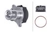 HELLA EGR Valve 6NU 014 862-091