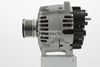 IR7977 (26).JPG