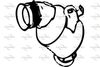 P9629DCAT.JPG