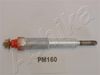 PM160_1.JPG
