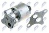 EGR-PL-007_2-WM.JPG