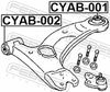 CYAB-002_1.JPG