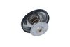 Termostat, chladivo 725215