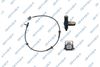 9A0923.JPG