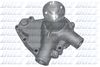 N451.BMP