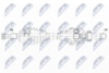 NPW-CT-129_9-WM.PNG