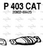P403CAT.JPG