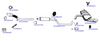 OP-EXSVG531_20260529081856.JPG