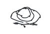 205_706004.ZIP
