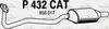 P432CAT.JPG
