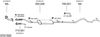 SYS11828.JPG