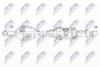NPW-FR-127_9-WM.PNG
