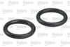 FUEL_FILTER_587520_05.JPG