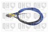 QH_BC2614.JPG