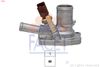 7.8938-FA.JPG