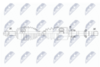 npw-ft-100_9-wm.PNG