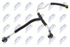 BPP-ME-003_2-WM.JPG