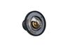 Termostat, chladivo 725174