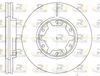 6925-10-MODEL.BMP