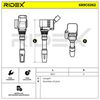 RIDEX