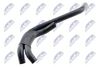 cpp-vw-004_2-wm.JPG
