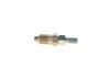Bosch Nozzle and Holder Assembly 9 430 610 125