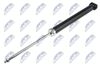 A-FT-035_1-WM.JPG