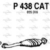 P438CAT.JPG