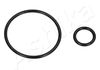 ORING4_1.JPG
