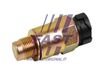 FT80575_1_1.JPG