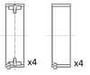 BB2002-STD-1962141.JPG