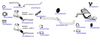OP-EXSVG020_20260529081455.JPG