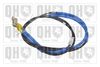 QH_BC2604.JPG