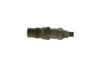 0432217134PH19WHCO0000.JPG
