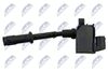 ECZ-ME-016_3-WM.JPG