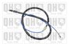 QH_BC3967.JPG