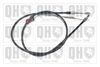 QH_BC3778.JPG