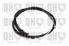 QH_BC4031.JPG