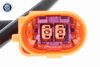 V10-72-0018_03.JPG