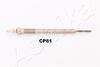 CP61_1.JPG