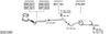 SYS11382.JPG