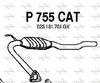P755CAT.JPG