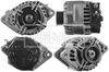 BBA2543_887566.JPG