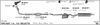 524000302.BMP