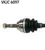VKJC 6097_2.JPG