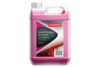 CHAMPION WINDSCREEN WASHER SUMMER READY